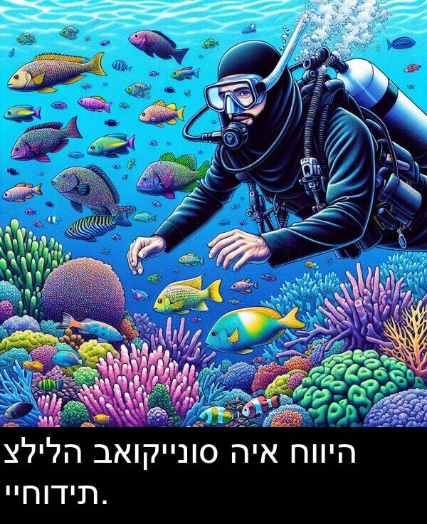 חוויה: צלילה באוקיינוס היא חוויה ייחודית.