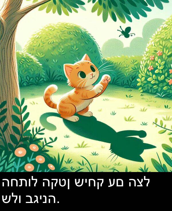 בגינה: החתול הקטן שיחק עם הצל שלו בגינה.