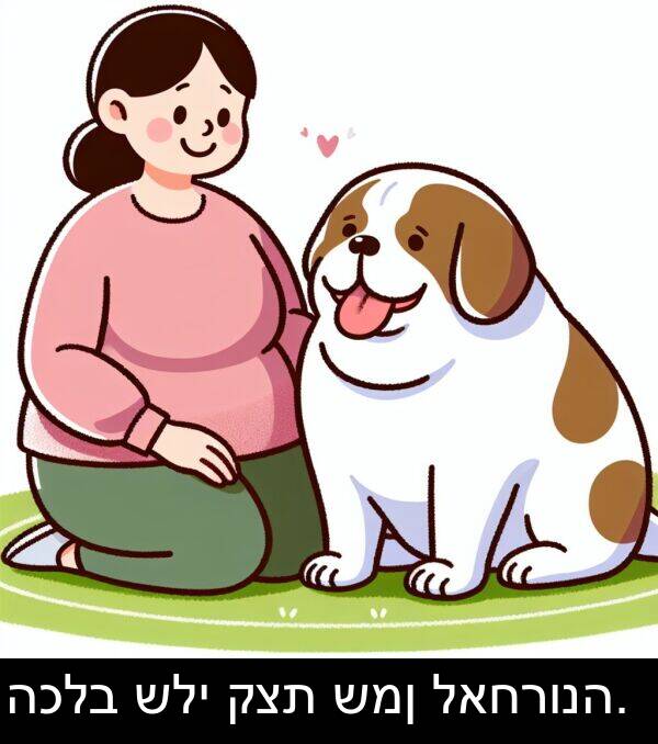 לאחרונה: הכלב שלי קצת שמן לאחרונה.