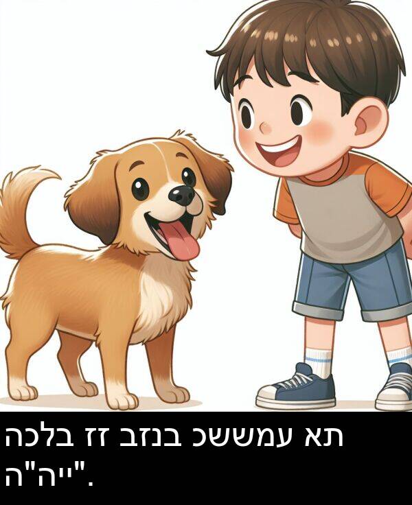 כששמע: הכלב זז בזנב כששמע את ה"היי".