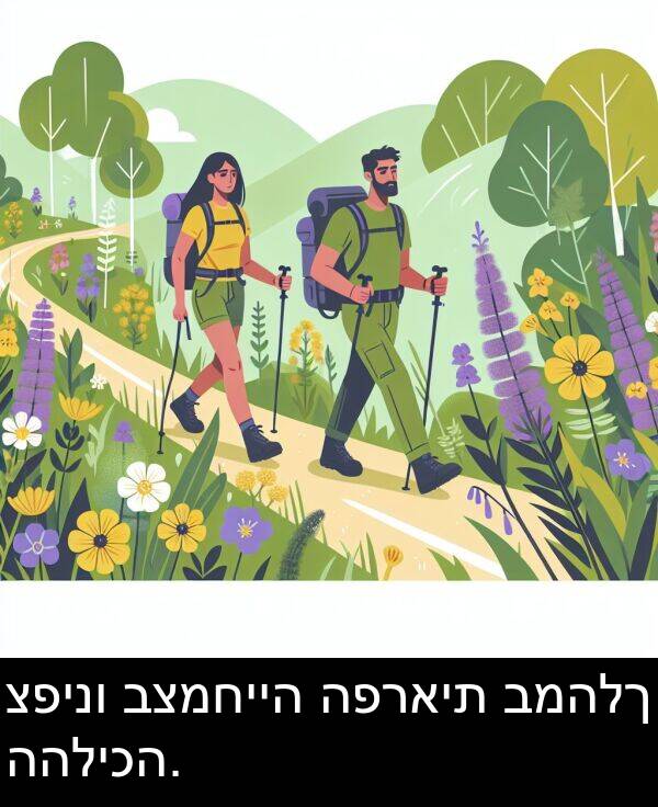 ההליכה: צפינו בצמחייה הפראית במהלך ההליכה.