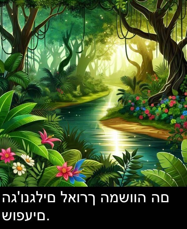 לאורך: הג'ונגלים לאורך המשווה הם שופעים.