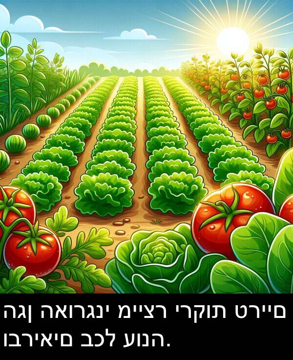 טריים: הגן האורגני מייצר ירקות טריים ובריאים בכל עונה.