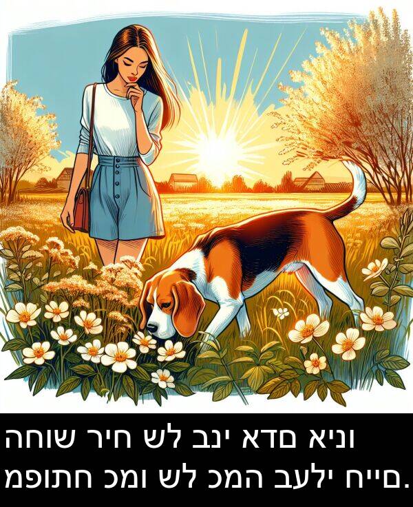 כמה: החוש ריח של בני אדם אינו מפותח כמו של כמה בעלי חיים.