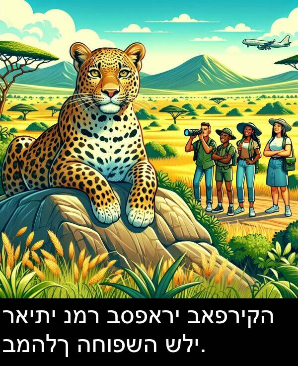 ראיתי: ראיתי נמר בספארי באפריקה במהלך החופשה שלי.