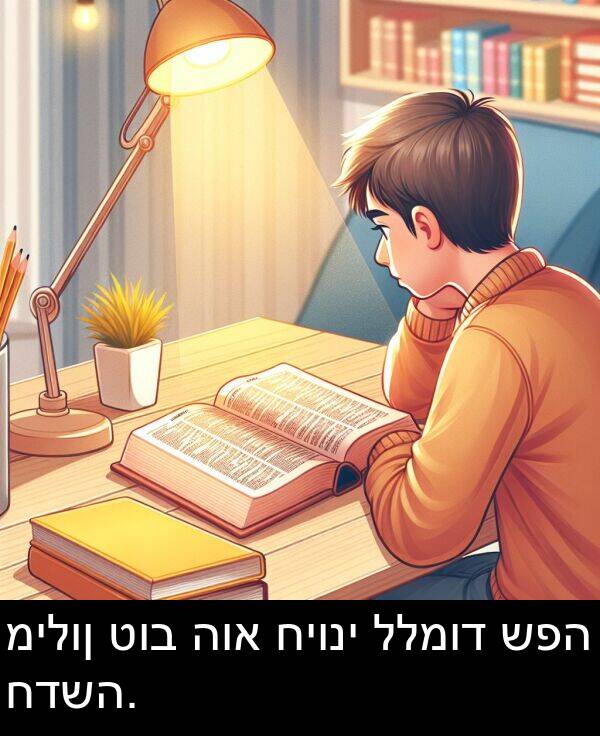 טוב: מילון טוב הוא חיוני ללמוד שפה חדשה.