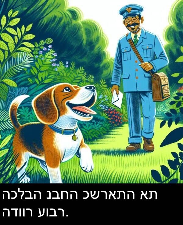 כשראתה: הכלבה נבחה כשראתה את הדוור עובר.