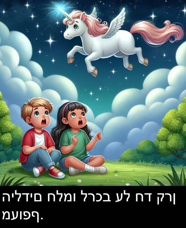 קרן: הילדים חלמו לרכב על חד קרן מעופף.