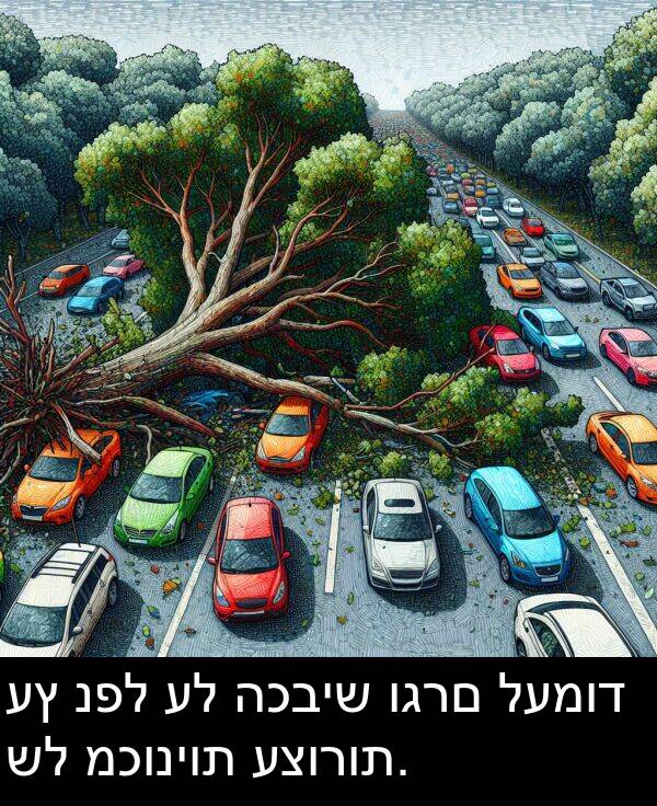 וגרם: עץ נפל על הכביש וגרם לעמוד של מכוניות עצורות.