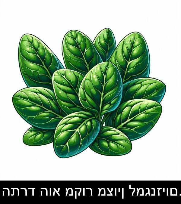 הוא: התרד הוא מקור מצוין למגנזיום.