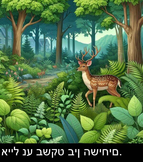 אייל: אייל נע בשקט בין השיחים.