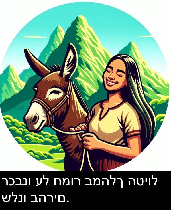 רכבנו: רכבנו על חמור במהלך הטיול שלנו בהרים.