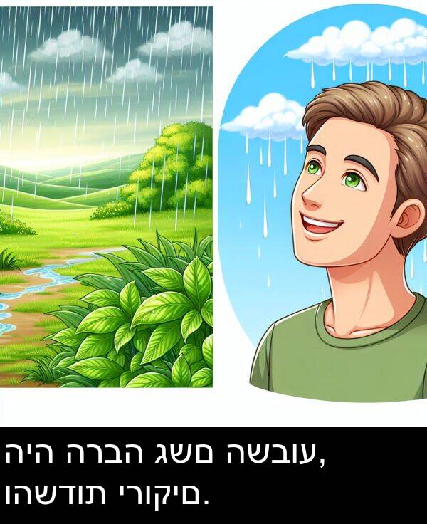 גשם: היה הרבה גשם השבוע, והשדות ירוקים.