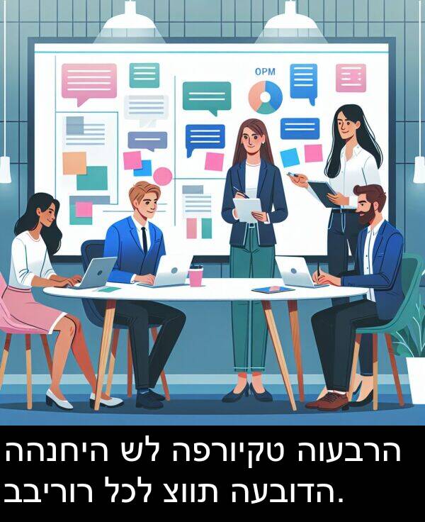 בבירור: ההנחיה של הפרויקט הועברה בבירור לכל צוות העבודה.