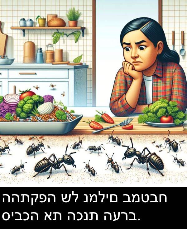 סיבכה: ההתקפה של נמלים במטבח סיבכה את הכנת הערב.