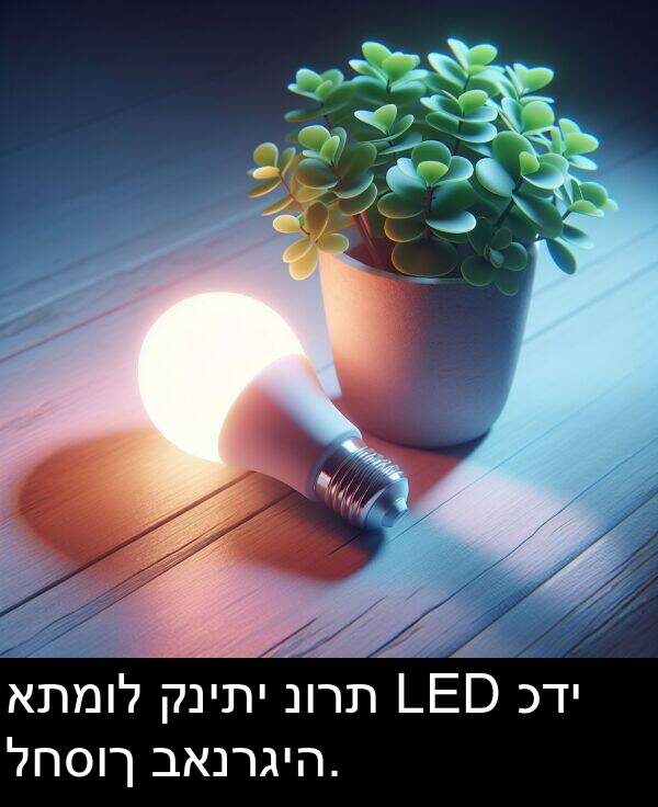 קניתי: אתמול קניתי נורת LED כדי לחסוך באנרגיה.