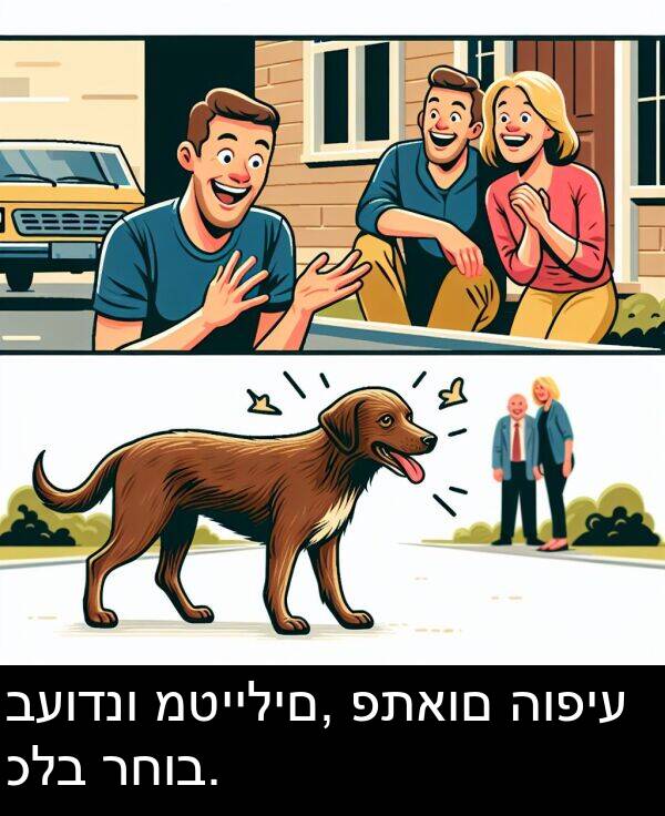 פתאום: בעודנו מטיילים, פתאום הופיע כלב רחוב.