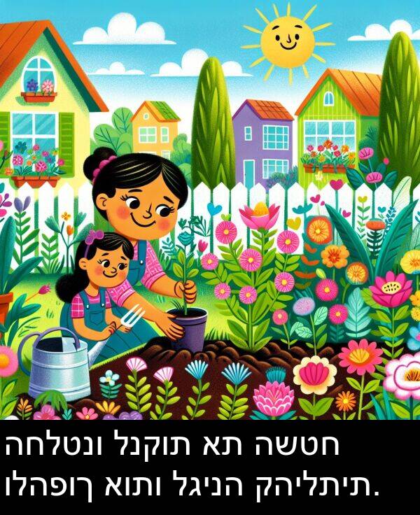 לגינה: החלטנו לנקות את השטח ולהפוך אותו לגינה קהילתית.