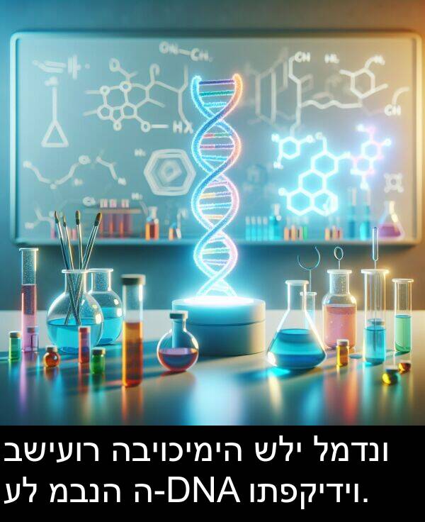 ה: בשיעור הביוכימיה שלי למדנו על מבנה ה-DNA ותפקידיו.