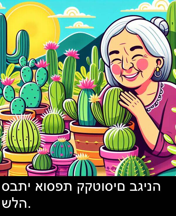 סבתי: סבתי אוספת קקטוסים בגינה שלה.