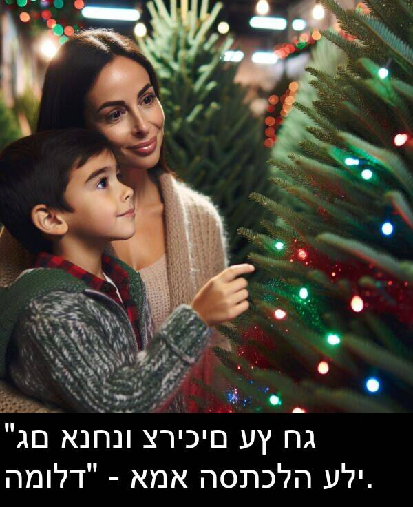 עלי: "גם אנחנו צריכים עץ חג המולד" - אמא הסתכלה עלי.