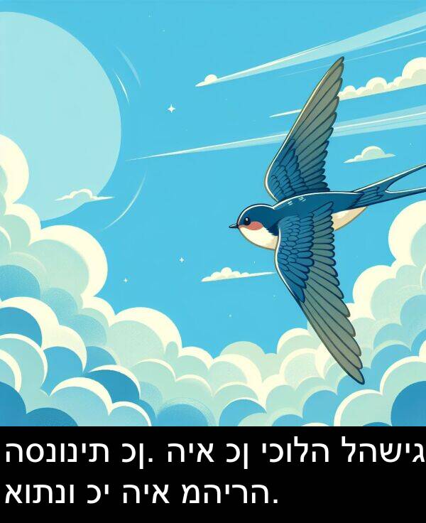 כן: הסנונית כן. היא כן יכולה להשיג אותנו כי היא מהירה.