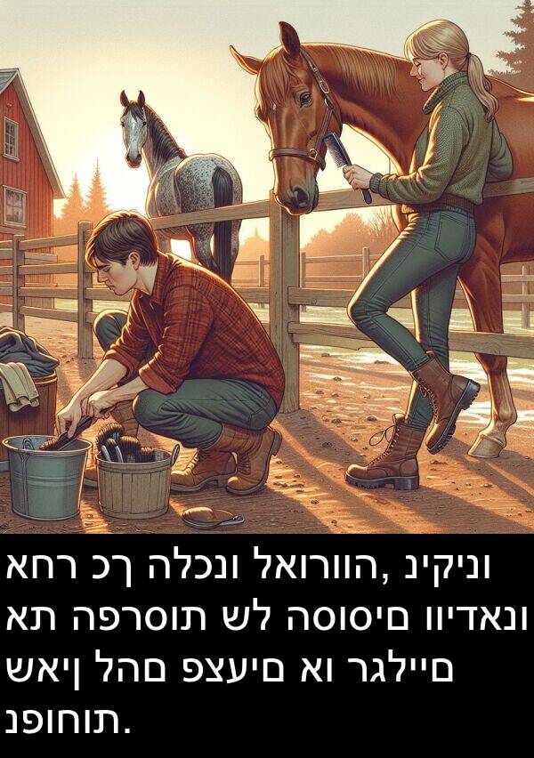 לאורווה: אחר כך הלכנו לאורווה, ניקינו את הפרסות של הסוסים ווידאנו שאין להם פצעים או רגליים נפוחות.