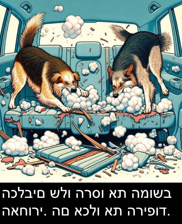 האחורי: הכלבים שלו הרסו את המושב האחורי. הם אכלו את הריפוד.