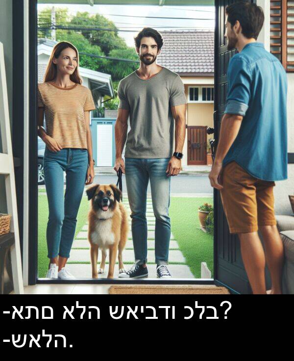 כלב: -אתם אלה שאיבדו כלב? -שאלה.