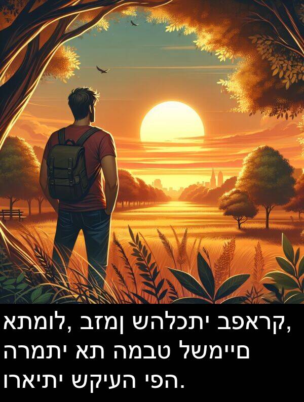 שהלכתי: אתמול, בזמן שהלכתי בפארק, הרמתי את המבט לשמיים וראיתי שקיעה יפה.