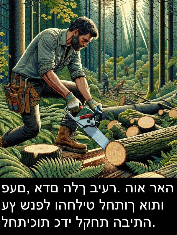 פעם: פעם, אדם הלך ביער. הוא ראה עץ שנפל והחליט לחתוך אותו לחתיכות כדי לקחת הביתה.