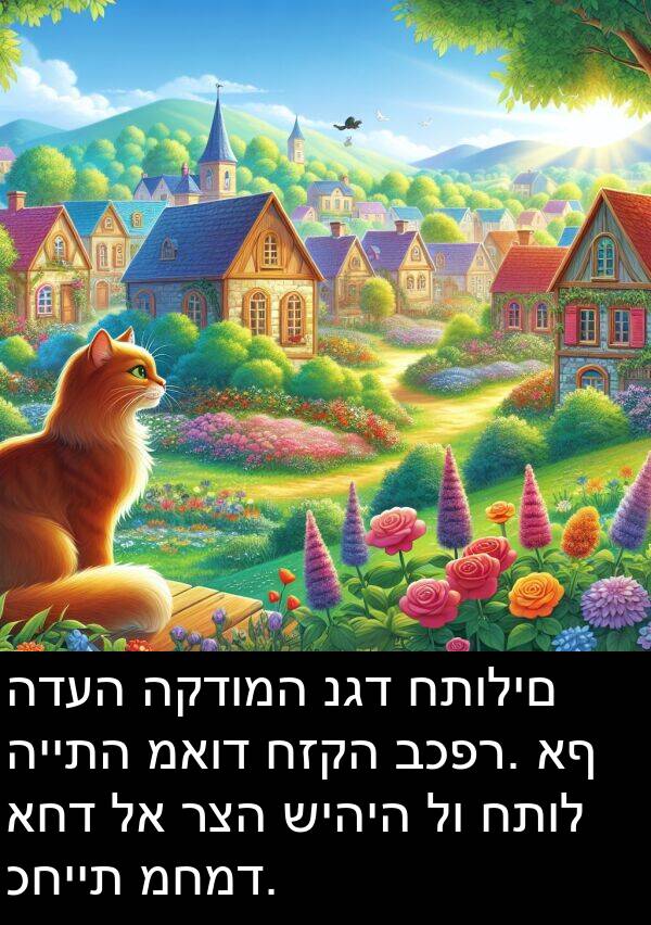 כחיית: הדעה הקדומה נגד חתולים הייתה מאוד חזקה בכפר. אף אחד לא רצה שיהיה לו חתול כחיית מחמד.