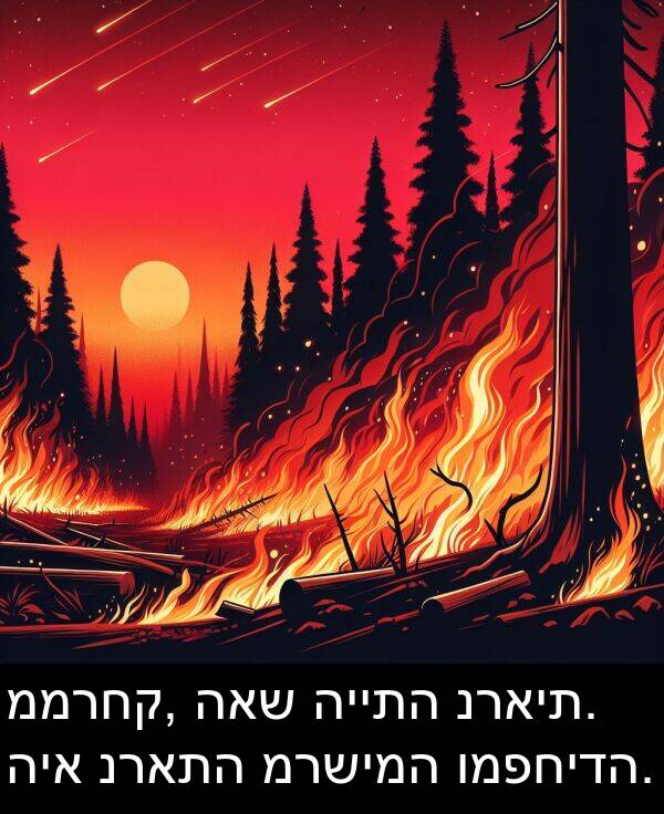 ומפחידה: ממרחק, האש הייתה נראית. היא נראתה מרשימה ומפחידה.