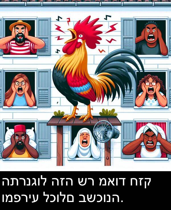 חזק: התרנגול הזה שר מאוד חזק ומפריע לכולם בשכונה.