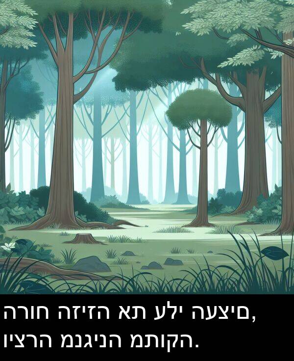 עלי: הרוח הזיזה את עלי העצים, ויצרה מנגינה מתוקה.