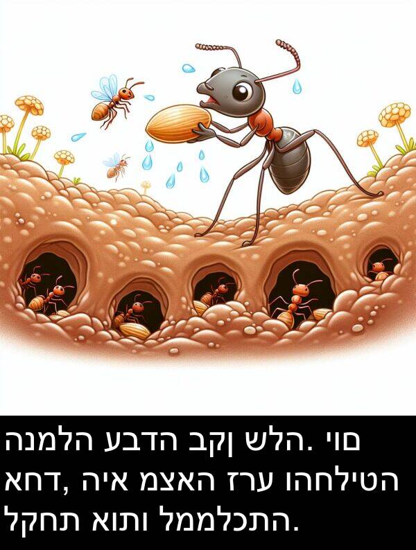 עבדה: הנמלה עבדה בקן שלה. יום אחד, היא מצאה זרע והחליטה לקחת אותו לממלכתה.