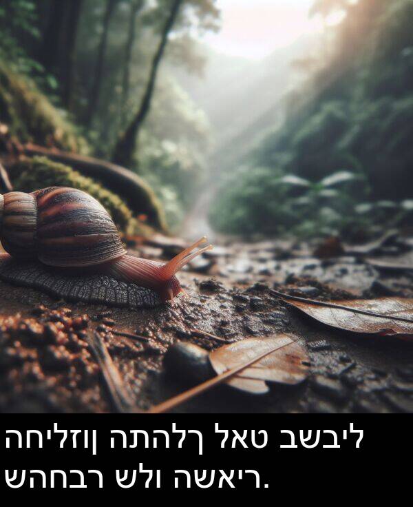 לאט: החילזון התהלך לאט בשביל שהחבר שלו השאיר.