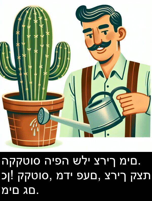 מדי: הקקטוס היפה שלי צריך מים. כן! קקטוס, מדי פעם, צריך קצת מים גם.