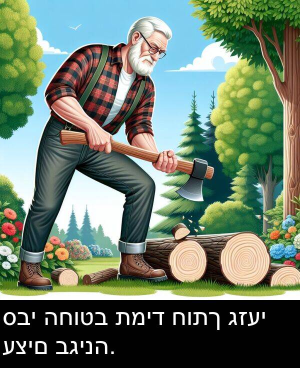 סבי: סבי החוטב תמיד חותך גזעי עצים בגינה.