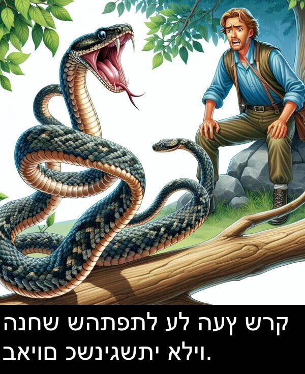 כשניגשתי: הנחש שהתפתל על העץ שרק באיום כשניגשתי אליו.