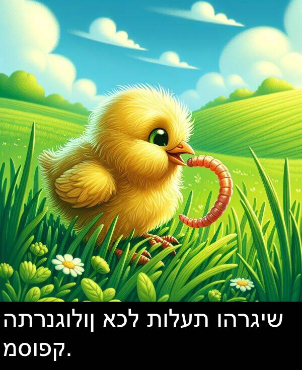 תולעת: התרנגולון אכל תולעת והרגיש מסופק.