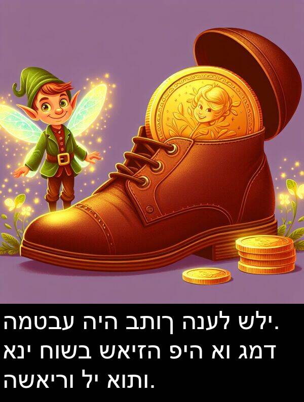 שאיזה: המטבע היה בתוך הנעל שלי. אני חושב שאיזה פיה או גמד השאירו לי אותו.