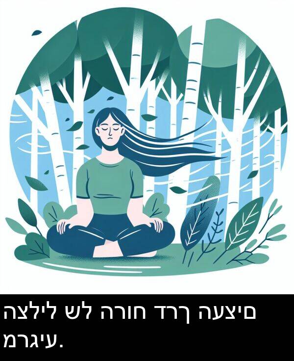 דרך: הצליל של הרוח דרך העצים מרגיע.