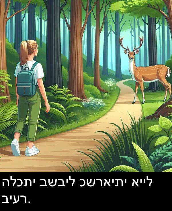 כשראיתי: הלכתי בשביל כשראיתי אייל ביער.