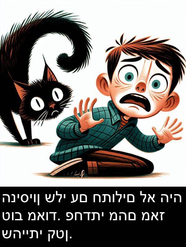 שהייתי: הניסיון שלי עם חתולים לא היה טוב מאוד. פחדתי מהם מאז שהייתי קטן.