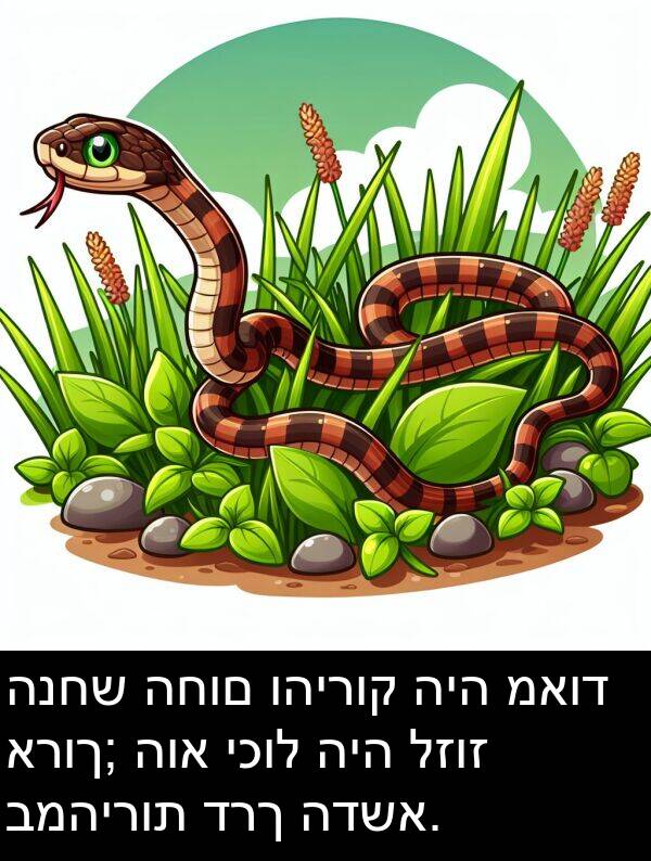 דרך: הנחש החום והירוק היה מאוד ארוך; הוא יכול היה לזוז במהירות דרך הדשא.