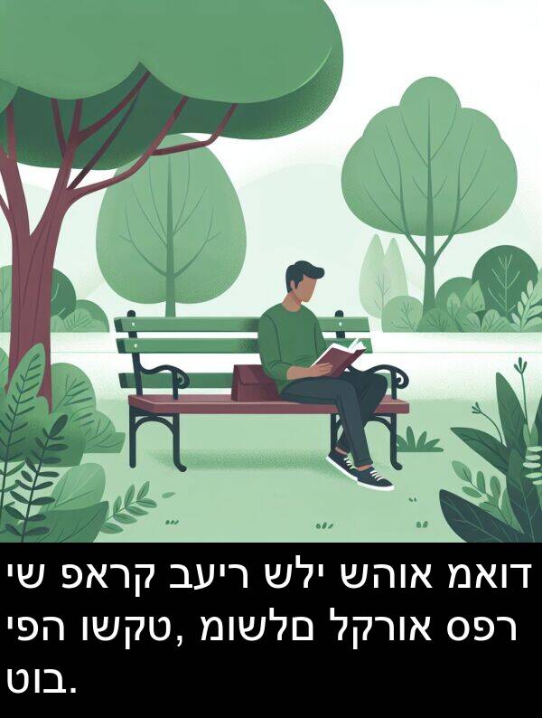 ספר: יש פארק בעיר שלי שהוא מאוד יפה ושקט, מושלם לקרוא ספר טוב.