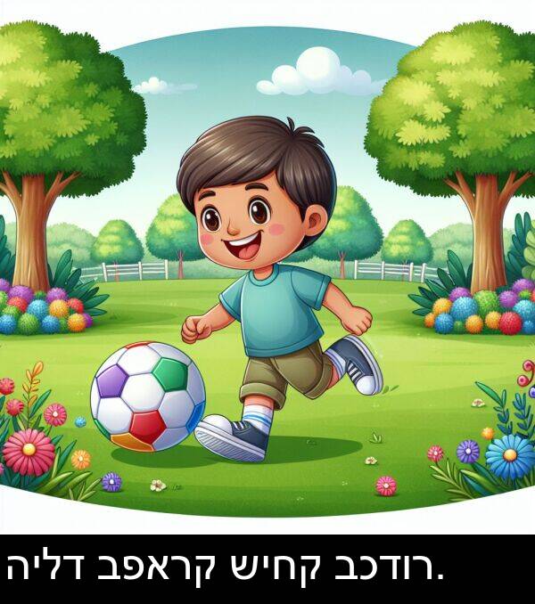 הילד: הילד בפארק שיחק בכדור.