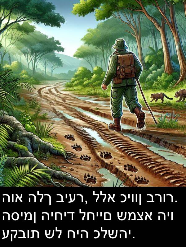 כלשהי: הוא הלך ביער, ללא כיוון ברור. הסימן היחיד לחיים שמצא היו עקבות של חיה כלשהי.