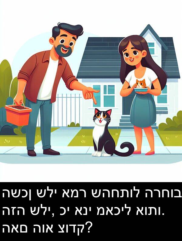 שהחתול: השכן שלי אמר שהחתול הרחוב הזה שלי, כי אני מאכיל אותו. האם הוא צודק?